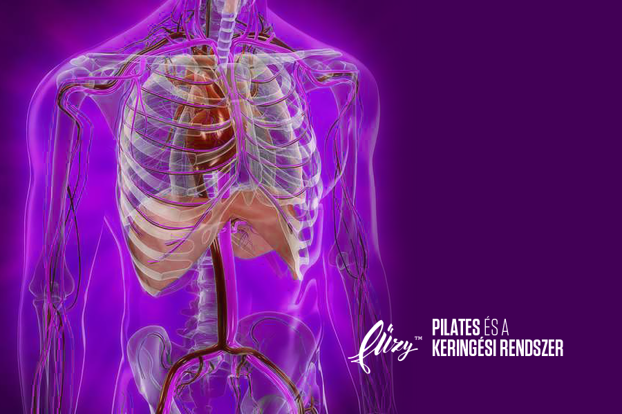 12341603_543522482481486_3043757543039628280_n 