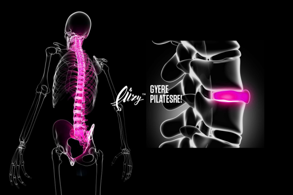 12295310_543178172515917_3260685802500704813_n 